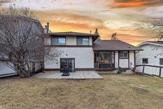Photo 4: 83 Edendale Crescent NW in Calgary: Edgemont Detached for sale : MLS®# A1203970