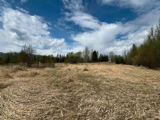 Photo 14: 2880 MOUNTAIN VIEW Road in McBride: McBride - Town Land for sale (Robson Valley)  : MLS®# R2879829