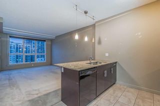 Photo 10: 1211 8880 Horton Road SW in Calgary: Haysboro Apartment for sale : MLS®# A2096338