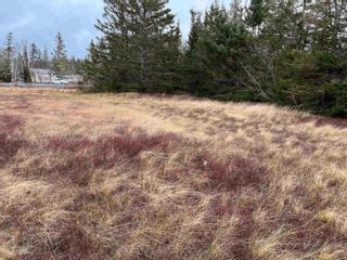 Photo 5: Lot 22-1 East Montrose Road in Montrose: 104-Truro / Bible Hill Vacant Land for sale (Northern Region)  : MLS®# 202227676