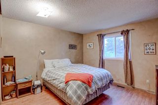 Photo 19: 109 Hunterhorn Crescent NE in Calgary: Huntington Hills Detached for sale : MLS®# A2095822