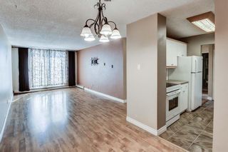 Photo 6: 326 30 Mchugh Court NE in Calgary: Mayland Heights Apartment for sale : MLS®# A1253732