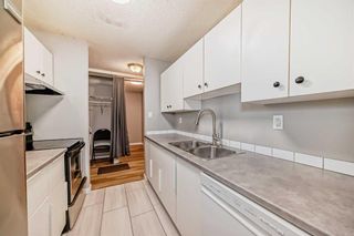 Photo 17: 202 1320 12 Avenue SW in Calgary: Beltline Apartment for sale : MLS®# A2131496
