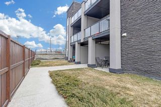 Photo 20: 105 15207 1 Street SE in Calgary: Midnapore Apartment for sale : MLS®# A2115125