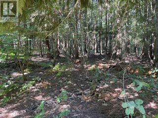Photo 34: 1 Old Town Road, in Sicamous: Vacant Land for sale : MLS®# 10283165