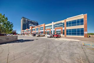 Photo 46: 619 8880 Horton Road SW in Calgary: Haysboro Apartment for sale : MLS®# A2138211
