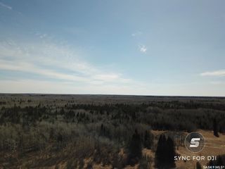 Photo 10: Hunting & Adventure Quarter Section in Parkdale: Lot/Land for sale (Parkdale Rm No. 498)  : MLS®# SK927498
