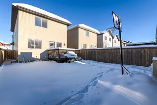 Photo 23: 3003 20 Avenue in Edmonton: Zone 30 House for sale : MLS®# E4272304