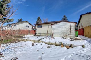 Photo 39: 4531 43 Street NE in Calgary: Whitehorn Detached for sale : MLS®# A1209196
