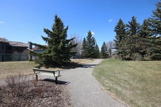 Photo 47: 191 Edelweiss Drive NW in Calgary: Edgemont Detached for sale : MLS®# A1099297
