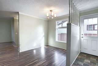 Photo 5: 4603 43 Street NE in Calgary: Whitehorn Detached for sale : MLS®# A1031744