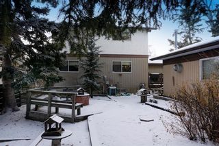 Photo 41: 684 Brookpark Drive SW in Calgary: Braeside Detached for sale : MLS®# A2014272