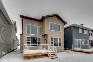 Photo 48: 43 Seton Villas SE in Calgary: Seton Detached for sale : MLS®# A2011731