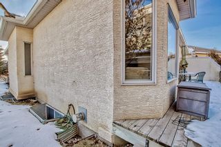 Photo 37: 23 Scimitar Heath NW in Calgary: Scenic Acres Semi Detached (Half Duplex) for sale : MLS®# A2019773