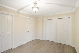 Photo 19: 131 Madeira Place NE in Calgary: Marlborough Park Detached for sale : MLS®# A2005690