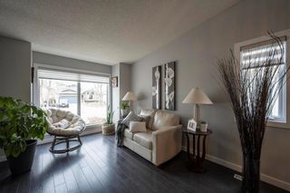 Photo 4: 31 Cummings Crescent in Winnipeg: River Park South Residential for sale (2F)  : MLS®# 202311684