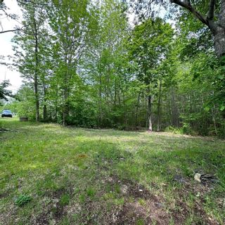 Photo 16: 15 Conquerall Road in Hebbs Cross: 405-Lunenburg County Vacant Land for sale (South Shore)  : MLS®# 202310770
