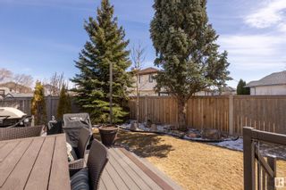 Photo 62: 17224 113A Street in Edmonton: Zone 27 House for sale : MLS®# E4383295