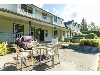 Photo 17: 31556 ISRAEL Avenue in Mission: Mission BC House for sale : MLS®# R2087582