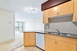 Photo 13: 517 8710 Horton Road SW in Calgary: Haysboro Apartment for sale : MLS®# A1176470