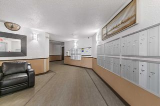 Photo 20: 209 11 Dover Point SE in Calgary: Dover Apartment for sale : MLS®# A2130019