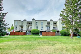 Photo 38: 209 13104 Elbow Drive SW in Calgary: Canyon Meadows Row/Townhouse for sale : MLS®# A1228822