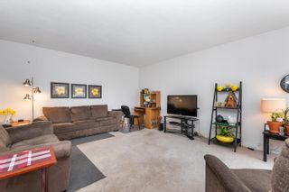 Photo 12: 7185 ELWOOD Drive in Chilliwack: Sardis West Vedder Rd House for sale (Sardis)  : MLS®# R2663781