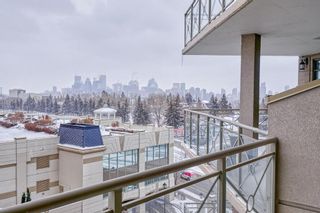 Photo 33: 307 1726 14 Avenue NW in Calgary: Hounsfield Heights/Briar Hill Apartment for sale : MLS®# A2030859