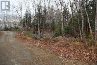 Photo 6: Lot 17 Old Port Mouton Road in White Point: Vacant Land for sale : MLS®# 202216507