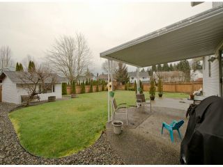 Photo 15: 21421 88B Avenue in Langley: Walnut Grove House for sale : MLS®# F1303840