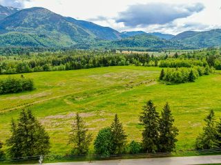 Photo 18: 785 IVERSON Road in Chilliwack: Columbia Valley Agri-Business for sale (Cultus Lake & Area)  : MLS®# C8049152