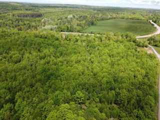 Photo 1: 726 Pleasant Brook Road in Pleasant Valley: 104-Truro / Bible Hill Vacant Land for sale (Northern Region)  : MLS®# 202213013