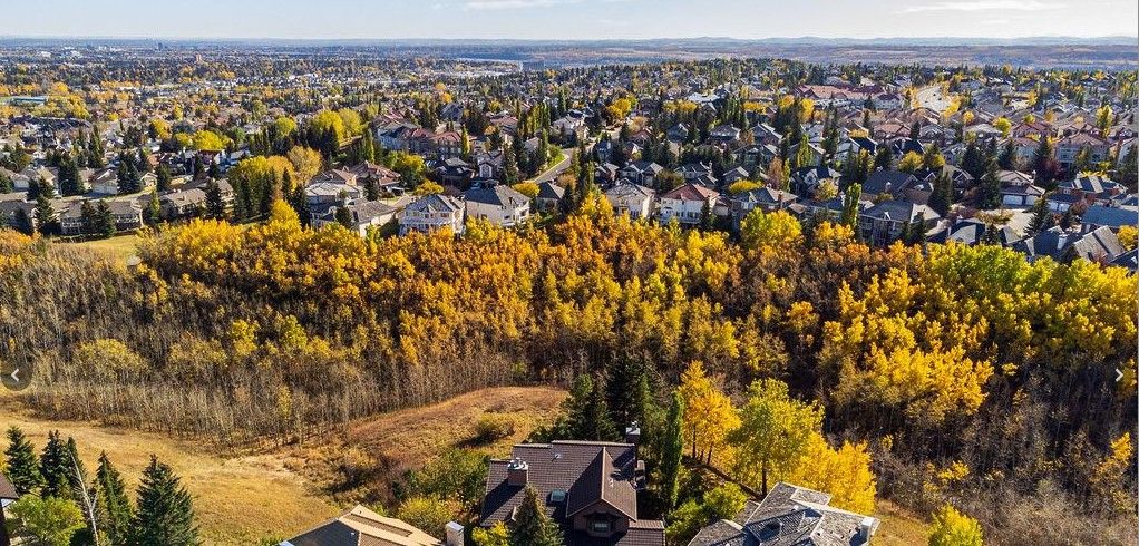 Learn more about the community of Strathcona Park