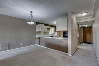 Photo 9: 303 333 2 Avenue NE in Calgary: Crescent Heights Apartment for sale : MLS®# A2032309