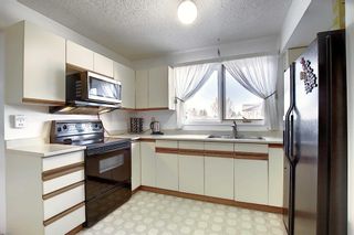 Photo 11: 3711 39 Street NE in Calgary: Whitehorn Detached for sale : MLS®# A1063183
