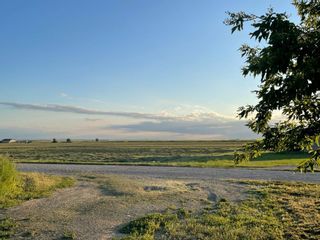 Photo 46: 260029 Range Road 251: Rural Wheatland County Detached for sale : MLS®# A2005190