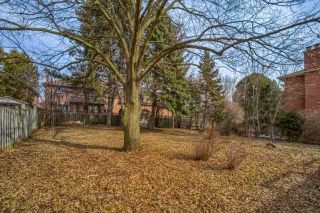 Photo 12: 26 Winlock Park in Toronto: Newtonbrook East House (Bungalow-Raised) for sale (Toronto C14)  : MLS®# C4393234