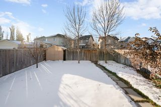 Photo 11: 77 Cramond Crescent SE in Calgary: Cranston Detached for sale : MLS®# A2012942