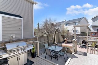 Photo 31: 29 Royal Elm Mews NW in Calgary: Royal Oak Detached for sale : MLS®# A1219128
