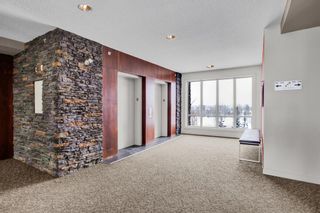Photo 38: 339 2727 28 Avenue SE in Calgary: Dover Apartment for sale : MLS®# A2031901