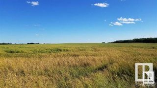 Photo 7: HWY 623 & Rge Rd 245: Rural Leduc County Vacant Lot/Land for sale : MLS®# E4361991