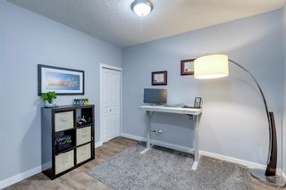 Photo 4: 302 208 Holy Cross Lane SW in Calgary: Mission Apartment for sale : MLS®# A2108851