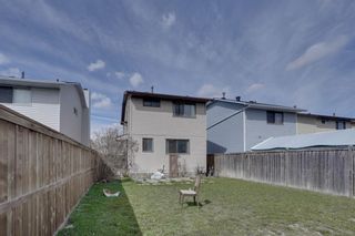 Photo 29: 192 Castlegreen Close NE in Calgary: Castleridge Detached for sale : MLS®# A2126596