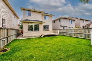 Photo 46: 303 Chapalina Terrace SE in Calgary: Chaparral Detached for sale : MLS®# A1113297