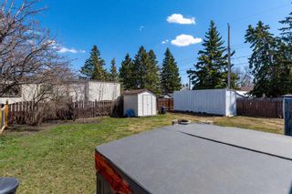 Photo 17: 1233 Downie Street: Carstairs Detached for sale : MLS®# A2124881
