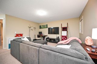 Photo 20: 52 Evansborough Road NW in Calgary: Evanston Detached for sale : MLS®# A2016793