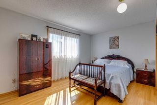 Photo 26: 7 Bermondsey Place NW in Calgary: Beddington Heights Detached for sale : MLS®# A2131422