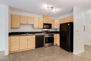 Photo 8: 322 1811 34 Avenue in Calgary: Altadore Apartment for sale : MLS®# A2119422