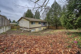 Photo 8: 3347 LAKEDALE Avenue in Burnaby: Government Road House for sale (Burnaby North)  : MLS®# R2665834