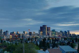 Photo 18: 1433 CHILD Avenue NE in Calgary: Renfrew Detached for sale : MLS®# A1104373